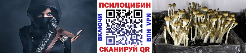 Псилоцибиновые грибы Psilocybine cubensis  Купить где  Волосово 